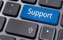 Web hosting support